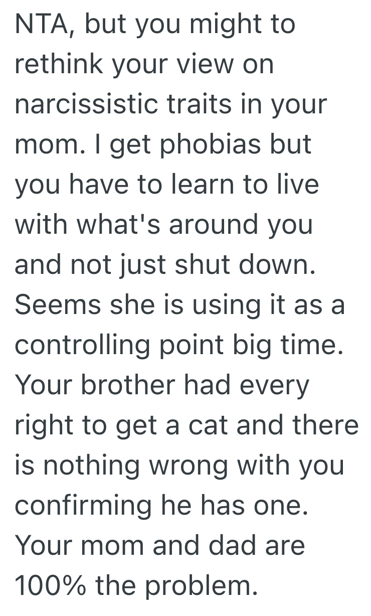 Screenshot 2025 04 01 at 2.05.49 PM Mom Has A Paralyzing Fear Of Cats, But Her Son Adopts One Anyway And Now She Feels Betrayed
